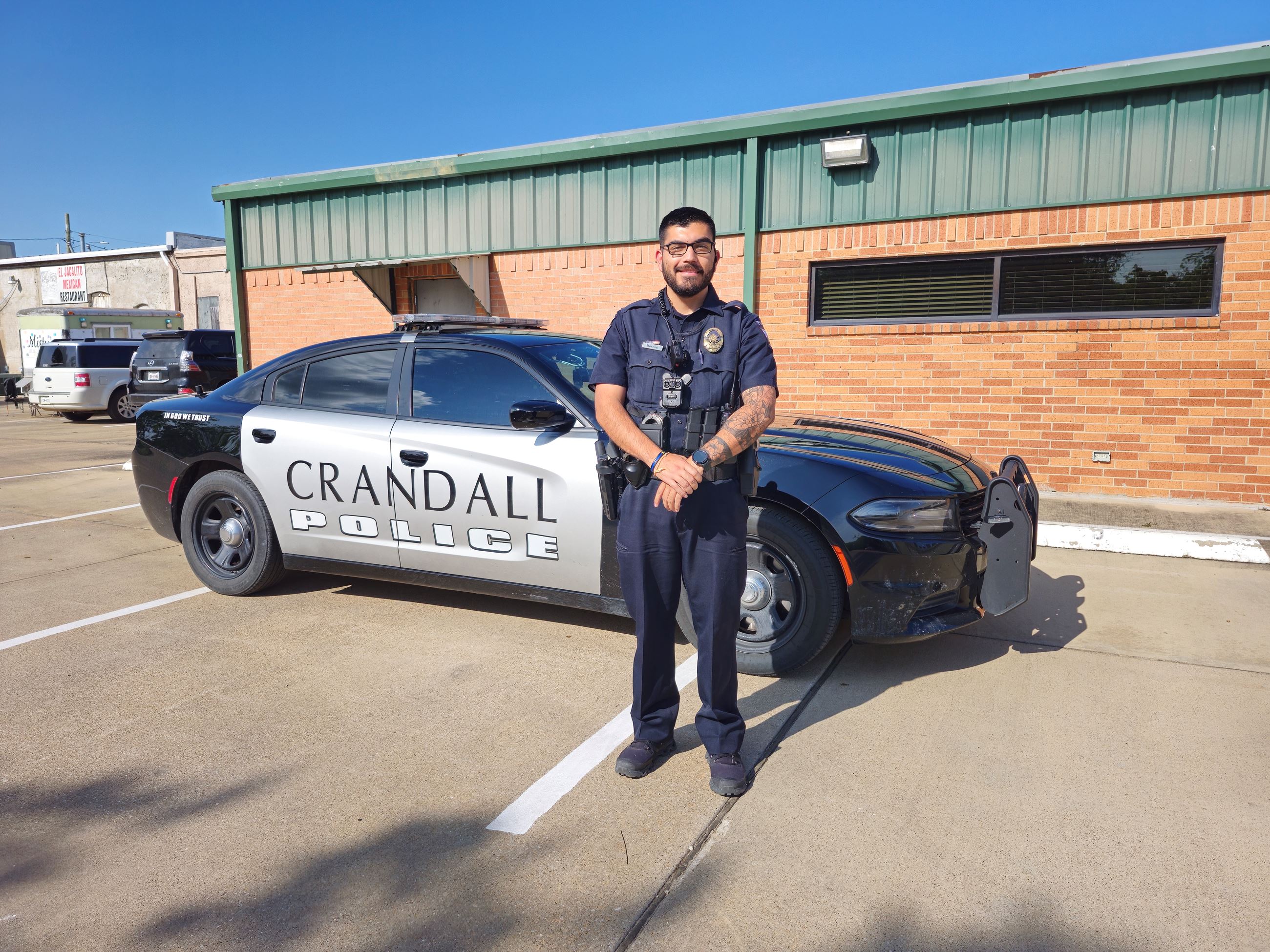 Artificial grass in Crandall, TX