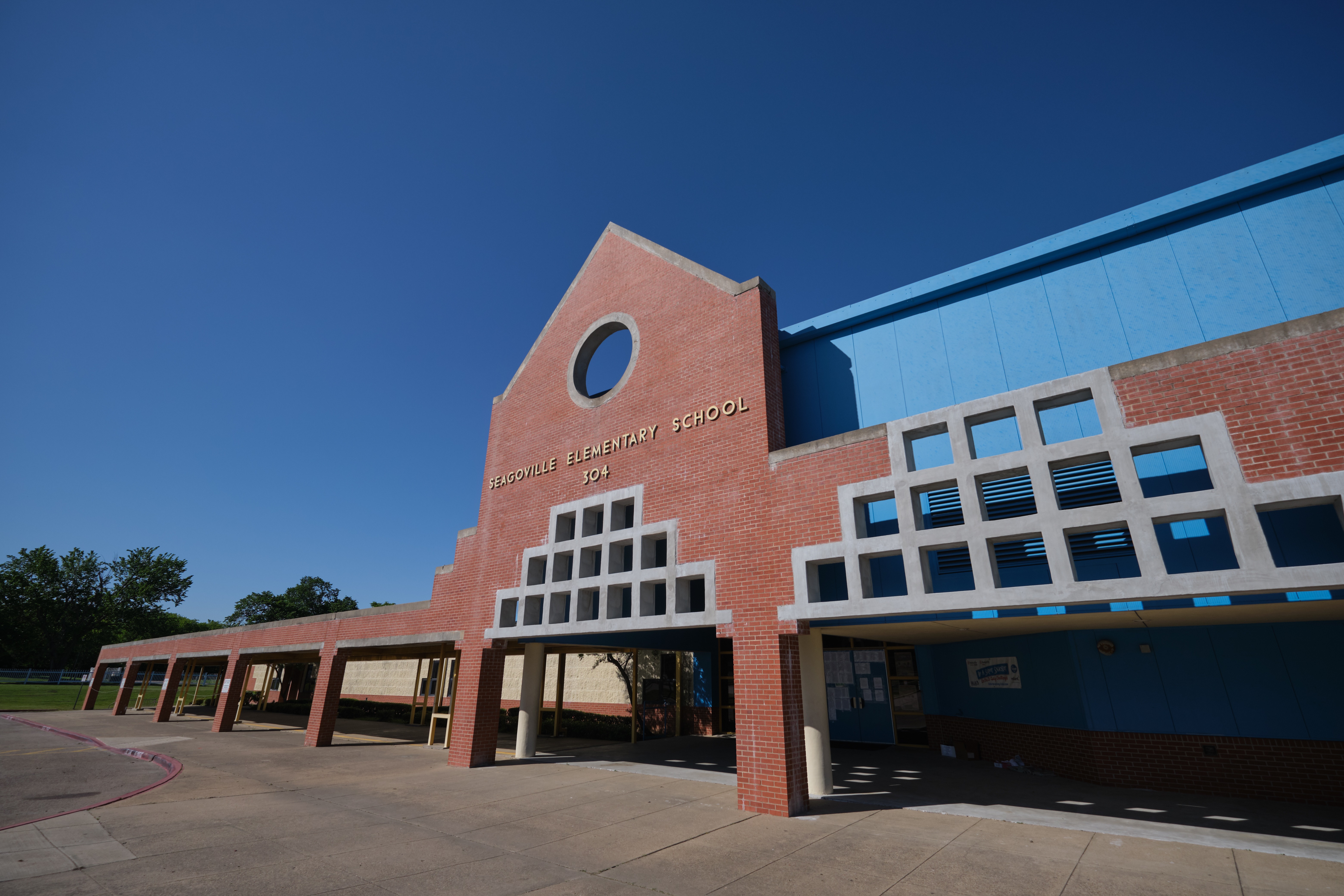 Artificial grass in Seagoville, TX