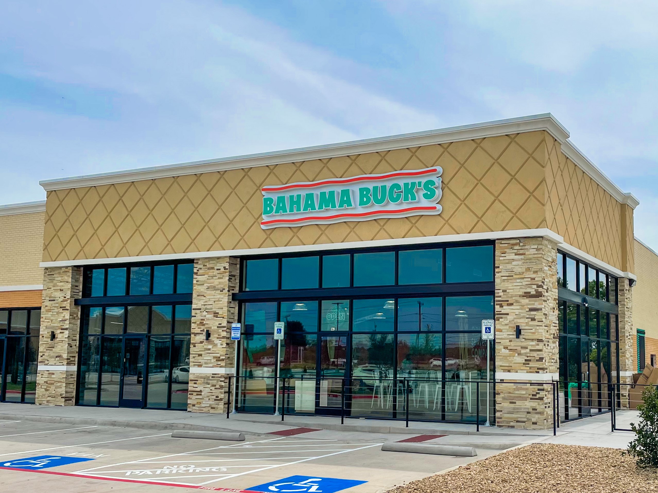 Artificial grass in Sunnyvale, TX